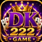 DK222 Game