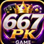 667PK Game 2026